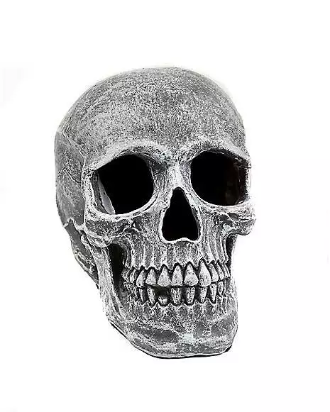 Large Realistic Skull Prop 3 Large Realistic Skull Prop