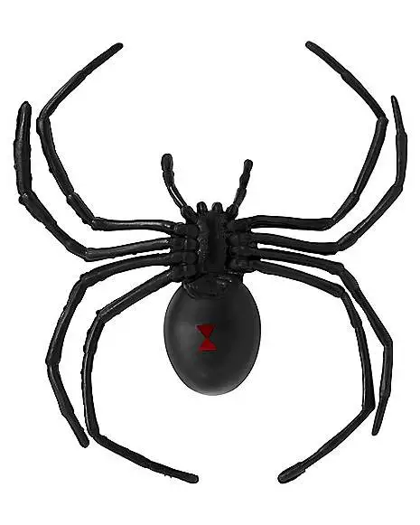 6 Inch Black Widow Spider 3 6 Inch Black Widow Spider