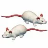 Squooshey Mouse 8-Pack -Halloween Sales 01251016 a