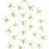 Glow In The Dark Spiders - 24 Pack 1 Glow In The Dark Spiders - 24 Pack -Halloween Sales 01251032 a