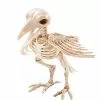 Skeleton Crow 1 Skeleton Crow -Halloween Sales 01270800 a