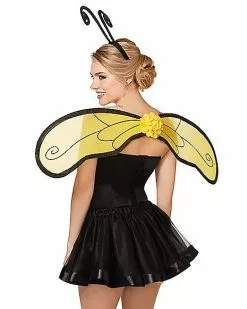 Bumble Bee Wing And Headband Set