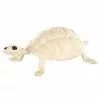 Skeleton Turtle - Decorations 2 Skeleton Turtle - Decorations -Halloween Sales 01387117 a