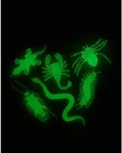 Front Page 14 Glow In The Dark Critters