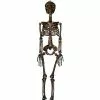 Moss Skeleton -Halloween Sales 01477140 a