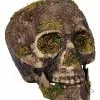 Moss Skull -Halloween Sales 01477157 a