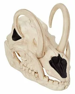 Boar Skull -Halloween Sales 01528785 a