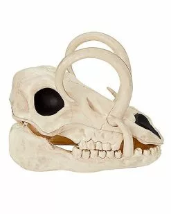 Boar Skull -Halloween Sales 01528785 b