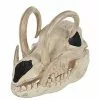 Boar Skull 2 Boar Skull -Halloween Sales 01528785 a
