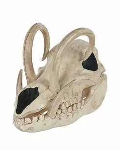 Boar Skull