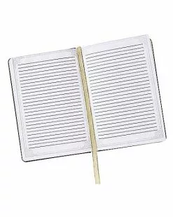 Gothic Noir Skull Journal -Halloween Sales 01540152 c