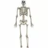 5 Ft. Digieye Hanging Skeleton Decoration -Halloween Sales 01547751 a
