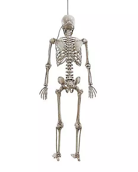 5 Ft. Digieye Hanging Skeleton Decoration 4 5 Ft. Digieye Hanging Skeleton Decoration - Image 2