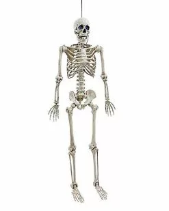 5 Ft. Digieye Hanging Skeleton Decoration 8 5 Ft. Digieye Hanging Skeleton Decoration -Halloween Sales 01547751 c