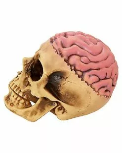 Skull With Brain Decoration 9 Skull With Brain Decoration -Halloween Sales 01573070 d