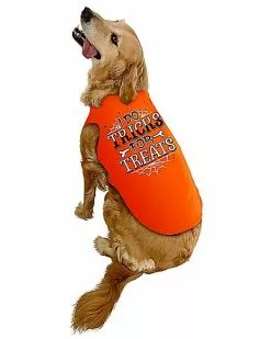 Tricks For Treats Pet Costume -Halloween Sales 01579341 a
