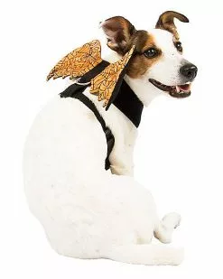 Orange Web Wings Pet Harness