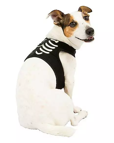 Skeleton Pet Harness 3 Skeleton Pet Harness