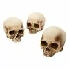 Jawless Skull Set - 3 Pack -Halloween Sales 07641780 a