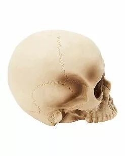 Jawless Skull Set - 3 Pack -Halloween Sales 07641780 c